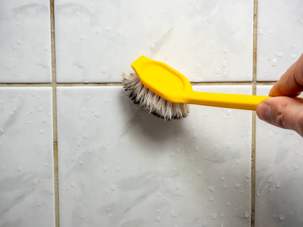 Best Mold Remediation Services  in Windber, PA