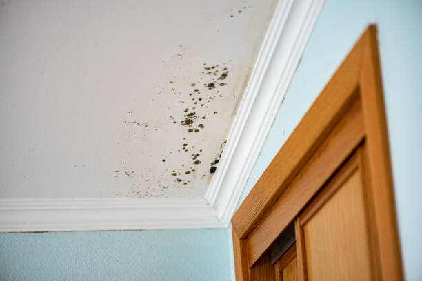 Water Damage Restoration in Windber, PA