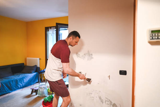 Best Certified Mold Removal  in Windber, PA